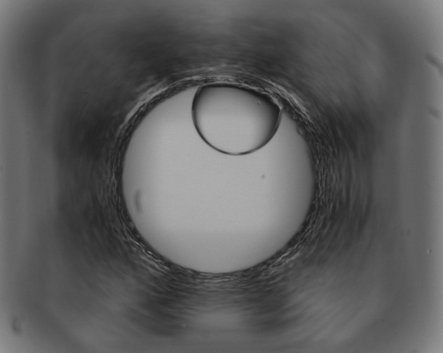 X0000092021160200709061324