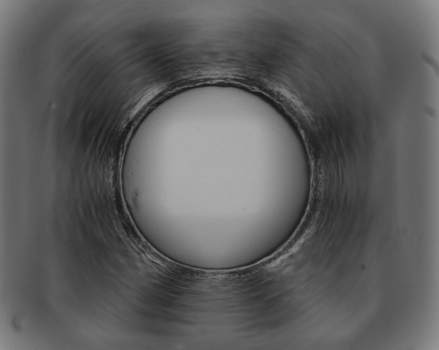 X0000092021162200709061324