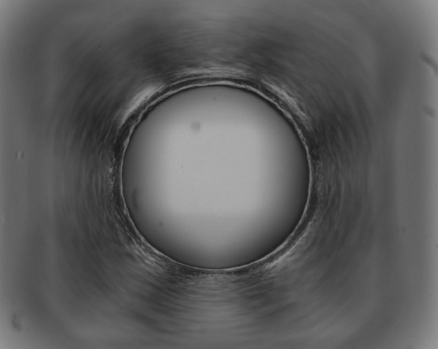 X0000092021163200709061324