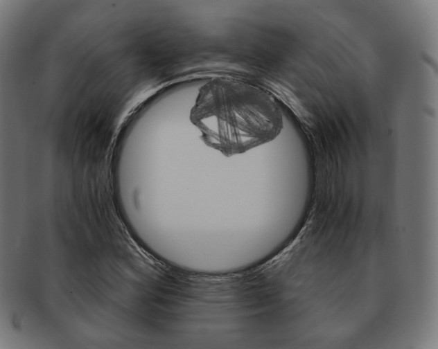X0000092021164200709061324