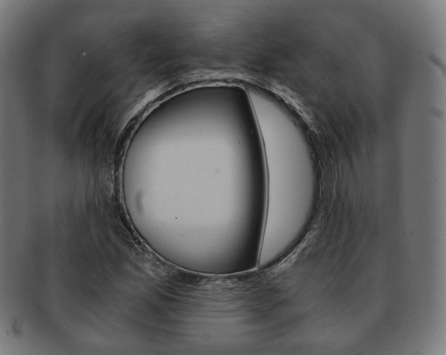 X0000092021165200709061324