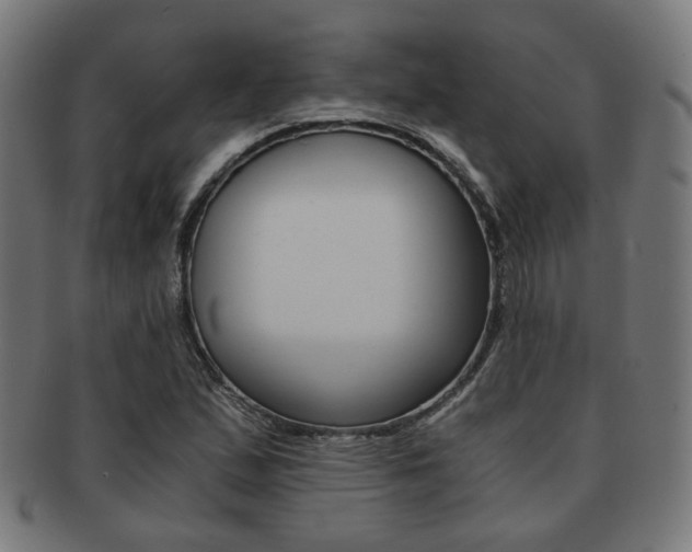 X0000092021167200709061324