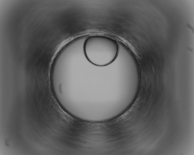 X0000092021168200709061324