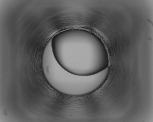 X0000092021169200709061324