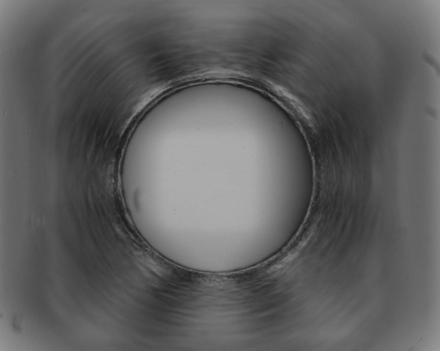X0000092021170200709061324