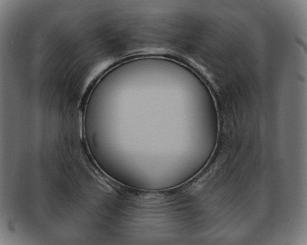 X0000092021171200709061324