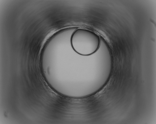 X0000092021172200709061324