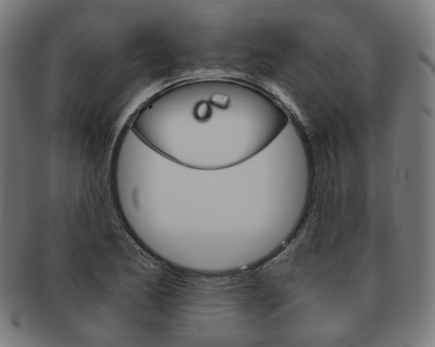 X0000092021173200709061324