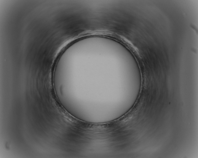 X0000092021174200709061324