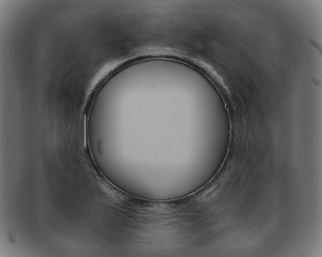 X0000092021175200709061324