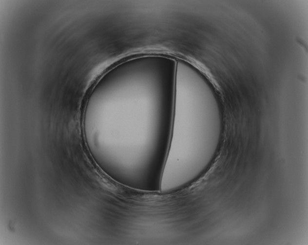 X0000092021176200709061324