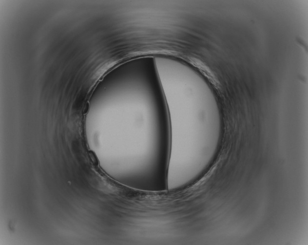 X0000092021177200709061324