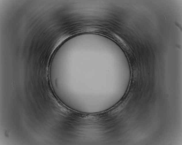 X0000092021178200709061324