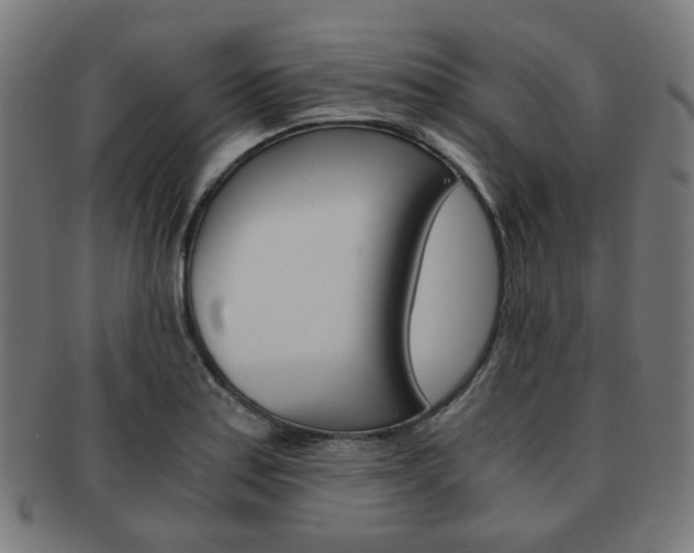 X0000092021179200709061324