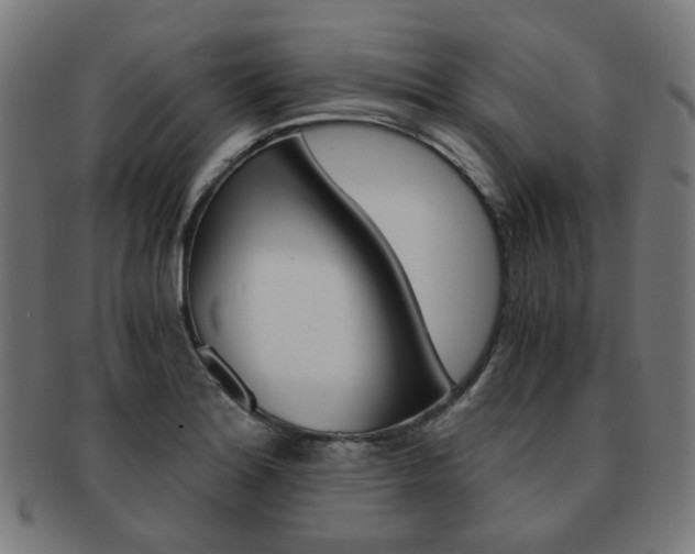 X0000092021180200709061324