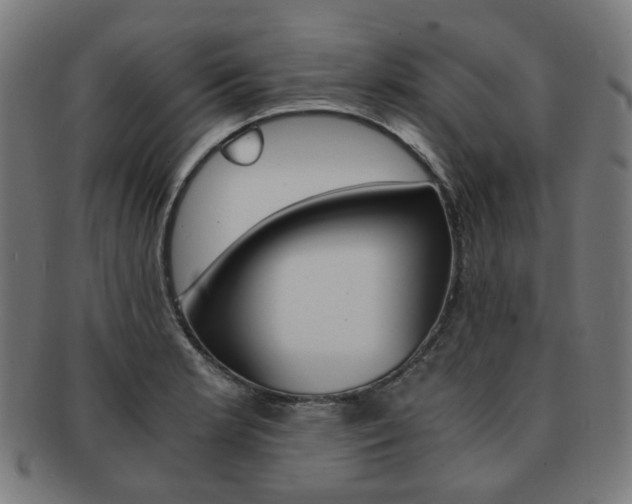 X0000092021181200709061324