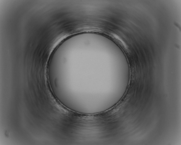 X0000092021182200709061324