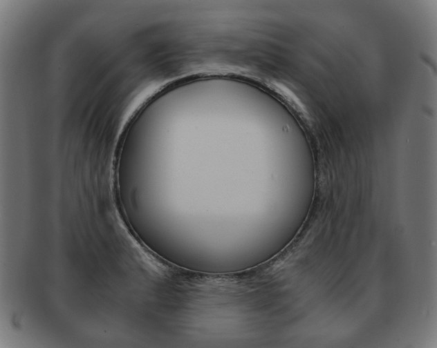 X0000092021183200709061324