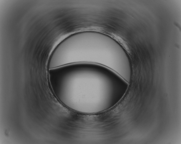 X0000092021184200709061324