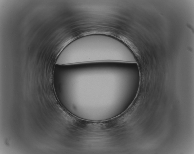 X0000092021185200709061324