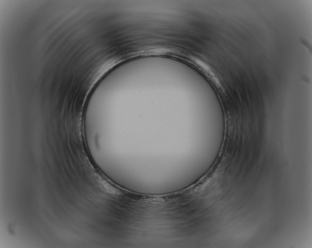 X0000092021186200709061324