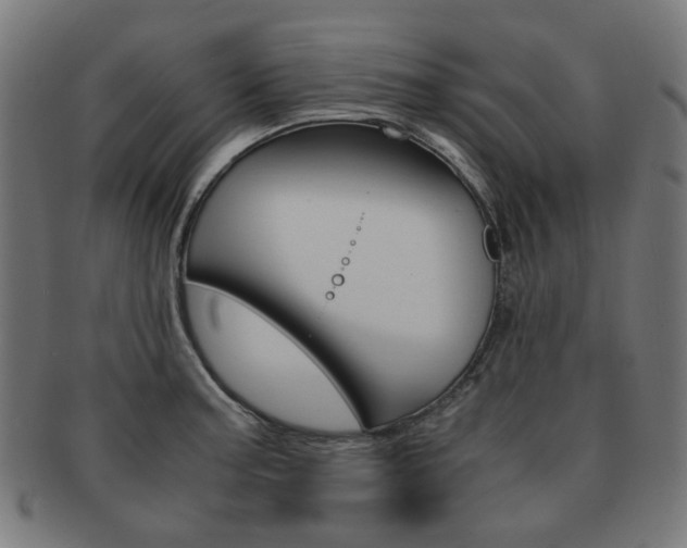 X0000092021187200709061324