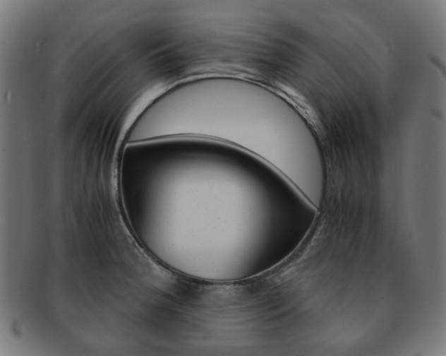 X0000092021188200709061324