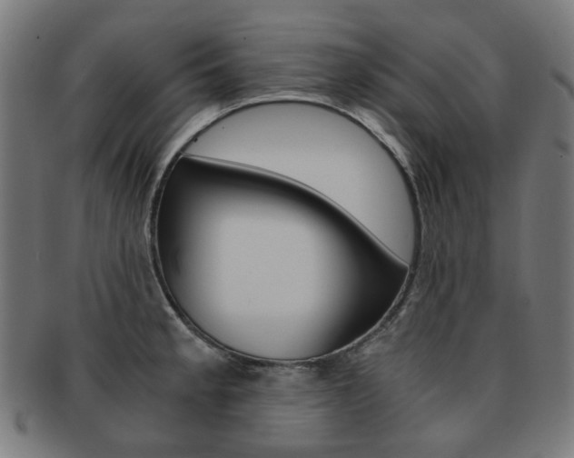 X0000092021189200709061324