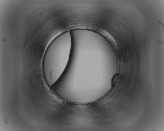 X0000092021190200709061324