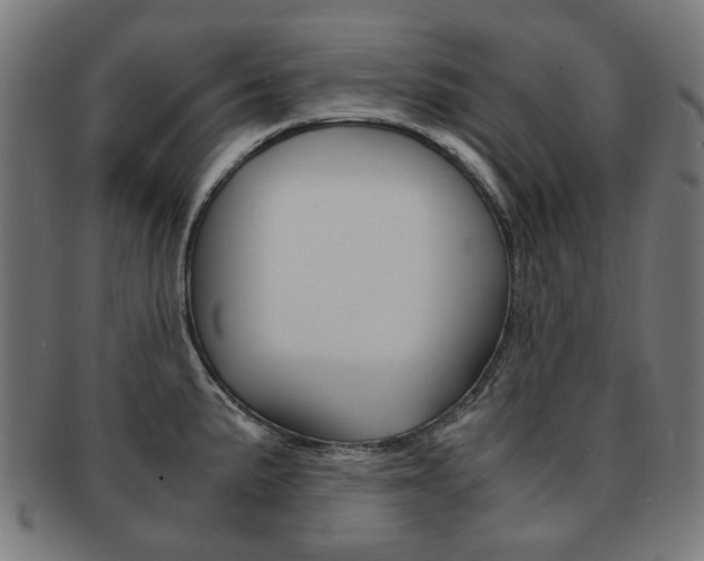 X0000092021191200709061324