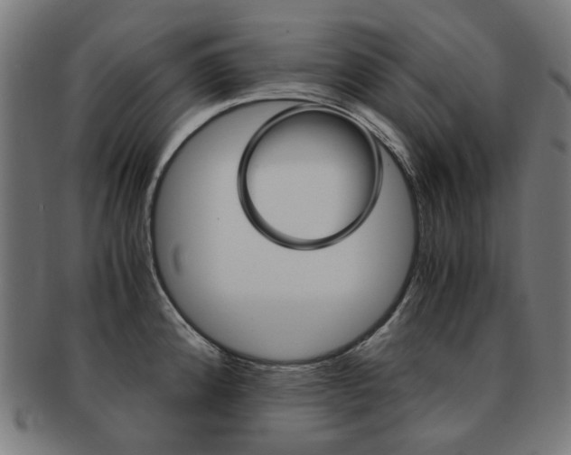 X0000092021192200709061324