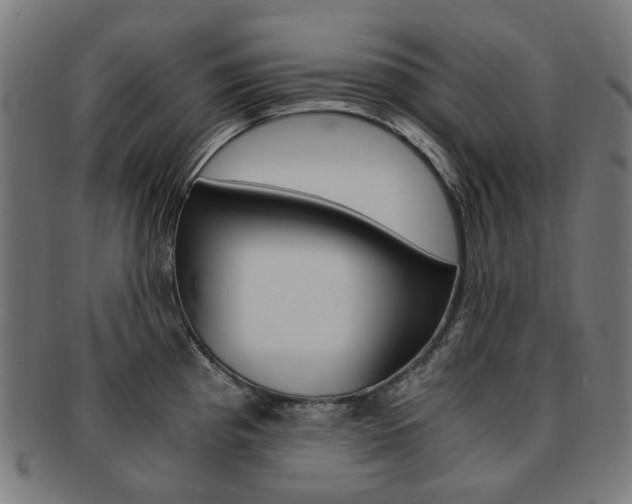 X0000092021193200709061324