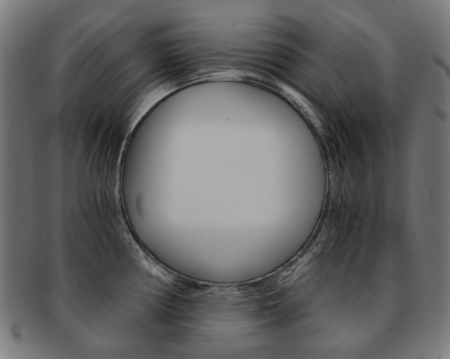 X0000092021194200709061324