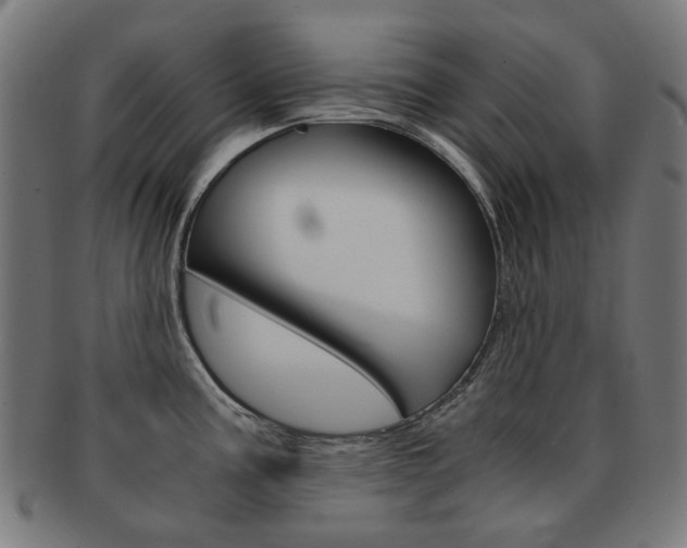 X0000092021195200709061324