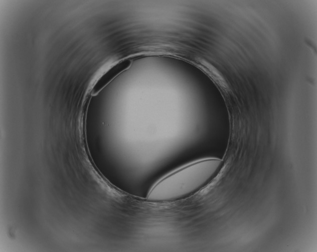 X0000092021196200709061324