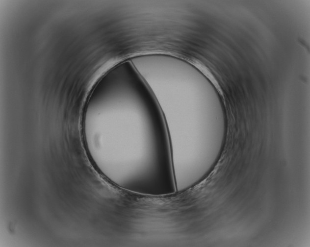 X0000092021197200709061324