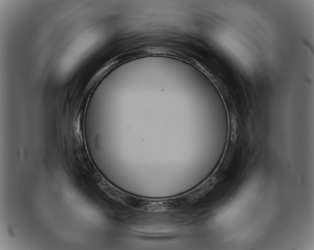 X0000092021198200709061324