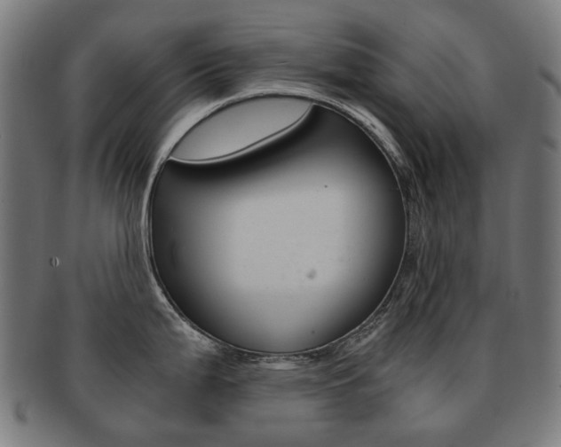 X0000092021199200709061324