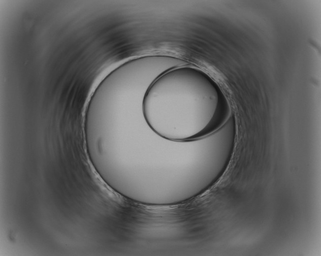 X0000092021200200709061323