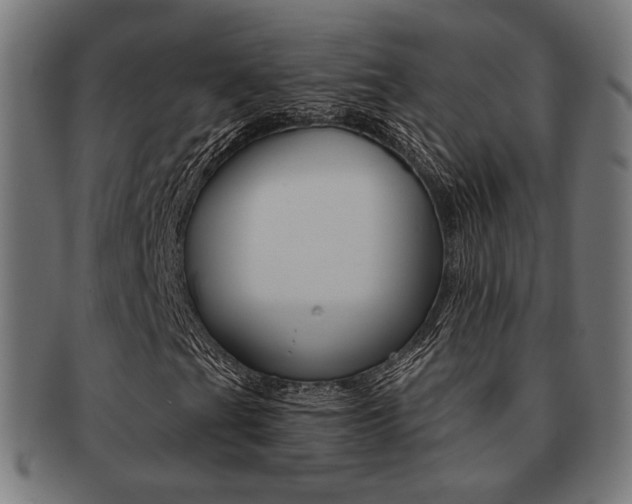X0000092021201200709061323