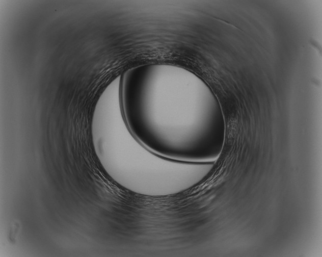 X0000092021202200709061323