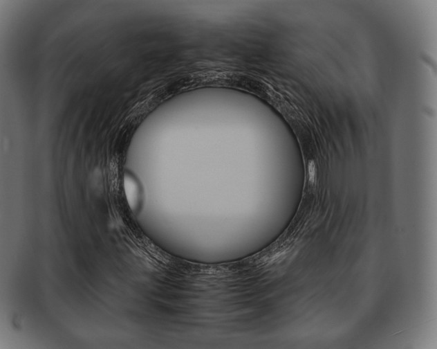 X0000092021203200709061323