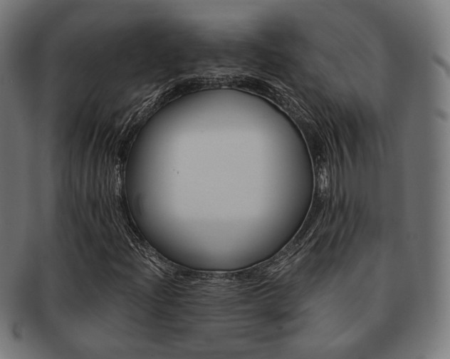 X0000092021204200709061323