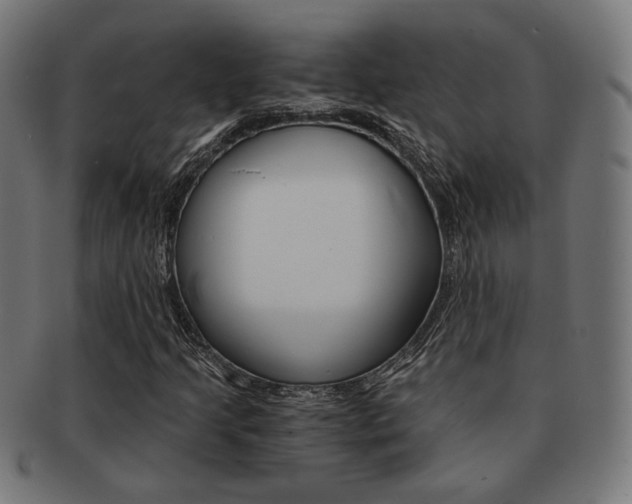 X0000092021205200709061323