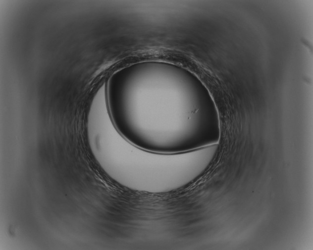 X0000092021206200709061323