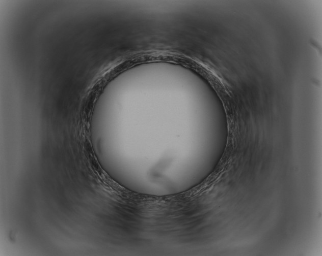 X0000092021207200709061323