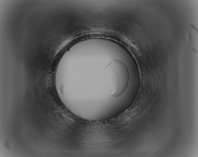 X0000092021208200709061323
