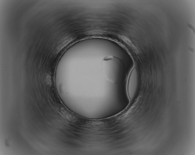 X0000092021209200709061323