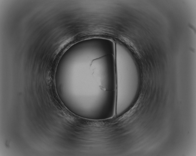 X0000092021210200709061323
