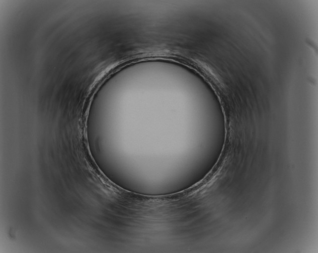 X0000092021212200709061323